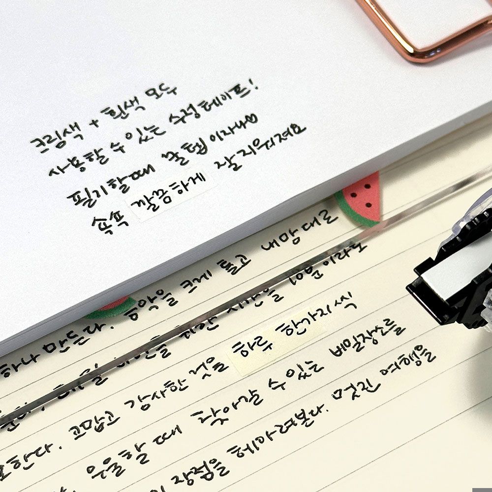 심플라이프 2컬러 수정테이프